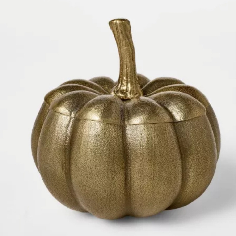 Cast Metal Pumpkin Canister - Threshold™ designed with Studio McGee